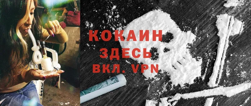 сколько стоит  Кашин  Cocaine Эквадор 